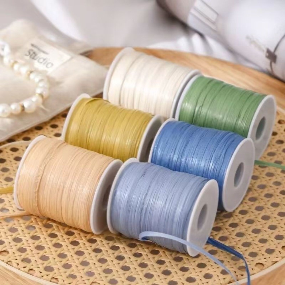 Premium Quality 120M Per Roll  - Crochet Bag Raffia recensie en prijs