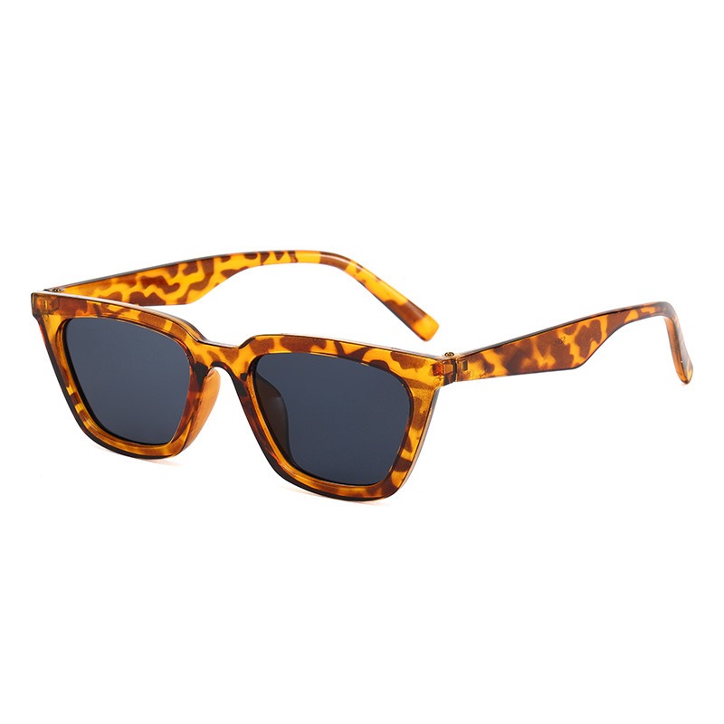 Vintage Leisure Cat Eye Sungla - Sunglasses Cat Eye recensie en prijs